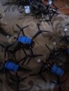Cum lansează Ucraina plase pentru a doborî dronele rusești din aer