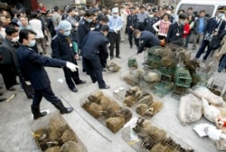 Virus SARS-a se pojavio 2003. u provinciji Guangdong, čiji je prenosilac bila divlja životinja cibetka (fotografija sa pijace u Guandongu nakon pojave SARS-a 2004)