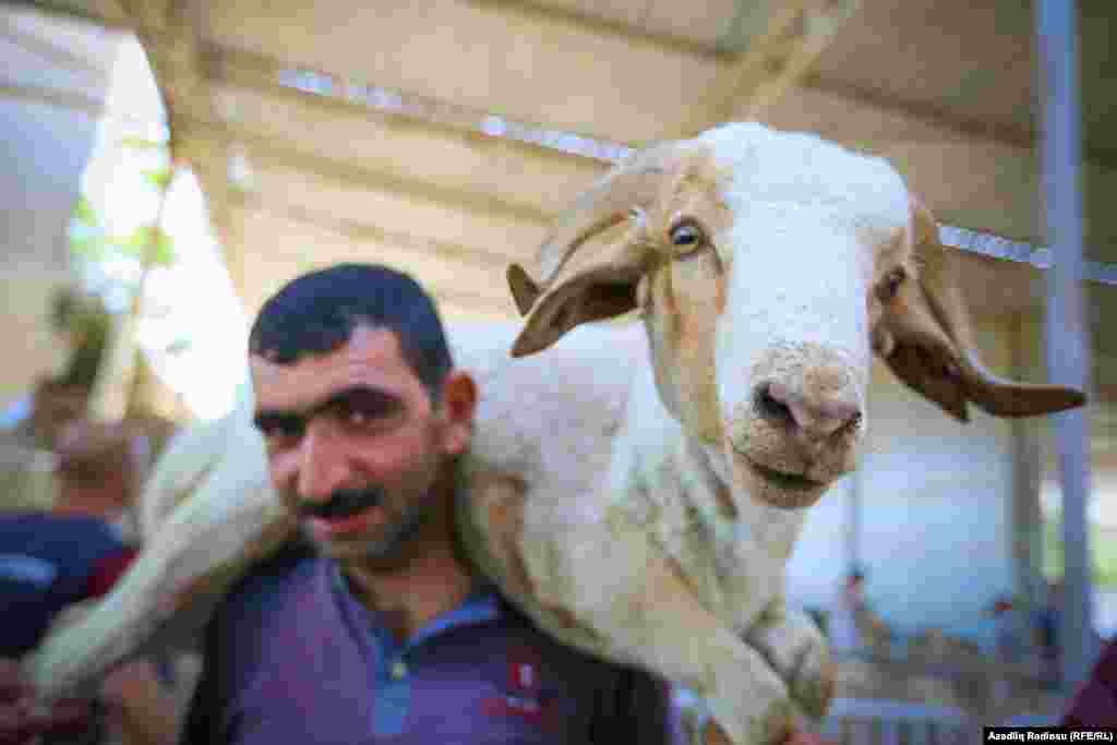 Musulmanii din Azerbaidjan sărbătoresc Eid al-Adha, Festivalul Sacrificiului, la Baku pe 22 august. Oile și alte animale sunt sacrificate ca ofrandă lui Dumnezeu. (RFE/RL)