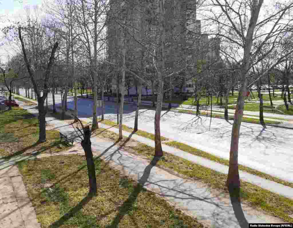 Bulevar Veljka Vlahovića, Zrenjanin. Jedna od najprometnijih ulica u ovom gradu danas je prazna. 