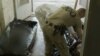 Moldova: Ukrainian Frontline Morgue Workers Bear Witness To Military Deaths