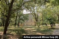 Grădina de la Țibănești, atât de dragă lui P.P.Carp