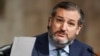 Senatorul american de Texas Ted Cruz. 