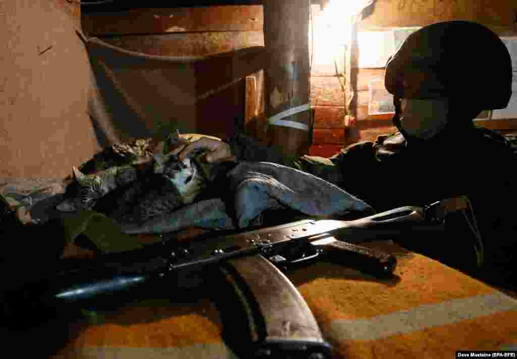 Një ushtar në rajonin separatist të Donetskut, më 24 nëntor, 2020, luan me disa mace, teksa strehohet në një vend në afërsi të frontit të luftës, në qytetin Horlivka, nën kontrollin e rusëve, që gjendet në Ukrainë. Rusia vazhdon të furnizojë me armë separatistët në rajonet e okupuara të Donetskut dhe Luhanskit, thotë Ministria e Mbrojtjes së Ukrainës. (Dave Mustaine/EPA-EFE).