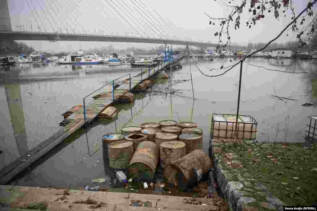Пластични шишиња, &#39;рѓосани буриња и друг отпад лебдат на реката Сава во близина на Белградскиот саем.