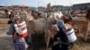 Health workers spray disinfectant on sacrificial animals amid concerns over the spread of the coronavirus ahead of the Muslim festival of Eid al-Adha in Hyderabad.