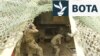 Të gjendur ngushtë në front, ushtarët ukrainas presin dërgesat e armëve amerikane
