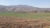 Во најава масовна продажба на државно земјоделско земјиште кое ќе може да се пренаменува