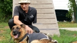 Un veteran ucrainean cu brațul amputat găsește alinare în îngrijirea câinilor 