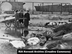 Мъже събират телата на убити по време на обсадата на Ленинград, октомври 1942 г.