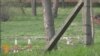 16x9 Image