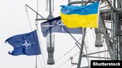 Україна і НАТО продовжують співпрацю в різних сферах: від сектору безпеки і оборони до ключових соціально-політичних та правових реформ, кажуть в Адміністрації українського президента