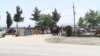 Воридоти тухмро аз хориҷа ба Тоҷикистон маҳдуд карданд