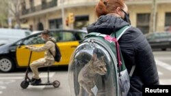 Илустрација: Жена со маска во Барселона носи ранец со мачка