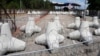 Польша закрыла все погранпункты на границе с Республикой Беларусь