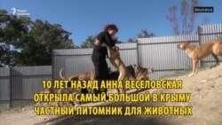 Приют для животных Анны Веселовской