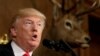 Трамп высказался в пользу закрытия Федерального правительства США 