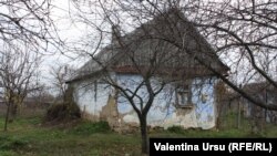 La Coșnița