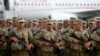Большинство экспертов сходятся во мнении, что полученный военнослужащими опыт, а также перспектива сотрудничества Грузии с НАТО необходимы для будущего страны