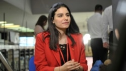 Viem Šamsi: Teško je iz diktature uskočiti u demokratiju