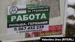 „Banii pe care i-am câștigat nu-s, de atâta că te duci acolo și câștigi trei luni și vii acasă și ții familia trei luni, și te duci iar trei luni și câștigi..”
