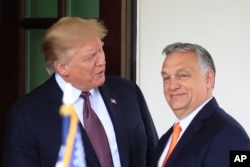 Чи використає свій вплив на Віктора Орбана Дональд Трамп, аби Будапешт не чинив спротив членству України в ЄС, що є однією з майбутніх гарантій безпеки для України?