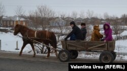 La Dondușeni, un cal putere