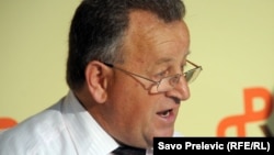 Radan Nikolić