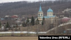 La Cărpineni