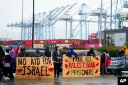 Simboli i shalqirit gjatë protestës kundër luftës Izrael-Hamas. 6 nëntor 2023.