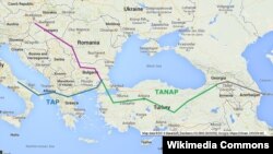 TANAP we TAP gaz gecirijileriniň çekilýän ugry