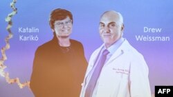 Katalin Kariko din Ungaria (S) și Drew Weissman (D) din SUA, în timpul anunțării câștigătorilor Premiului Nobel pentru Fiziologie sau Medicină 2023 la Institutul Karolinska din Stockholm.