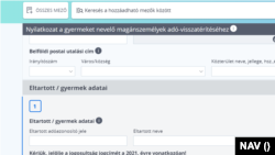 Részlet a kitöltendő nyilatkozatból