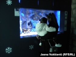 Vizitorë në Qendrën për Mbrojtjen e Biodiversitetit të Adriatikut, Akuariumi Boka, Kotorr.