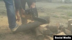 Заготовка дров на зиму в Ферганской области Узбекистана.