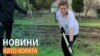 Да засадиш дърво за бъдеще. Новини като хората