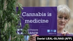 A kannabisz gyógyászati felhasználásának legalizálását sürgető tüntető, London (Egyesült Királyság), 2017. október 10.