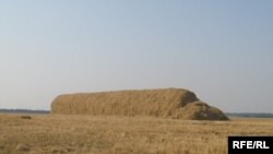 Сировиною для виробництва біогазу можуть бути солома, відходи тваринництва, тверді побутові відходи