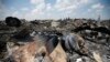 ЕС и НАТО призвали Россию "признать ответственность" за катастрофу MH17