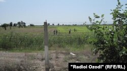Узбекско-таджикская граница в Согдийской области. 