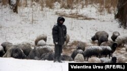Iarna, la Briceni