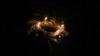 Ukraine -- Kupala fest, Kyiv, 7Jul2017