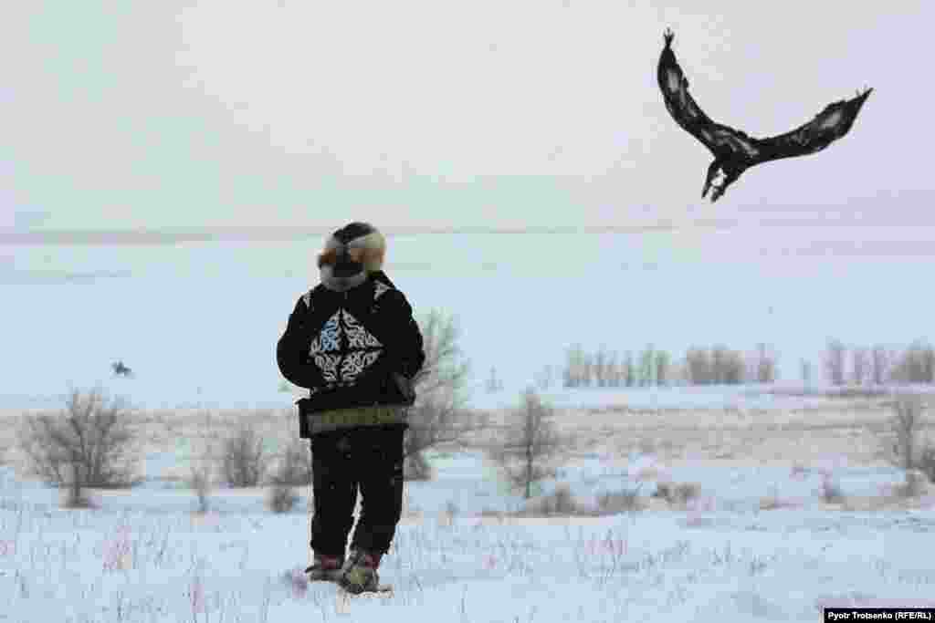 A bird flies freely before returning to its master. In other parts of the competition, the eagle must catch a fox's hide as it is dragged behind a horse, then catch a rabbit released for the tournament. 